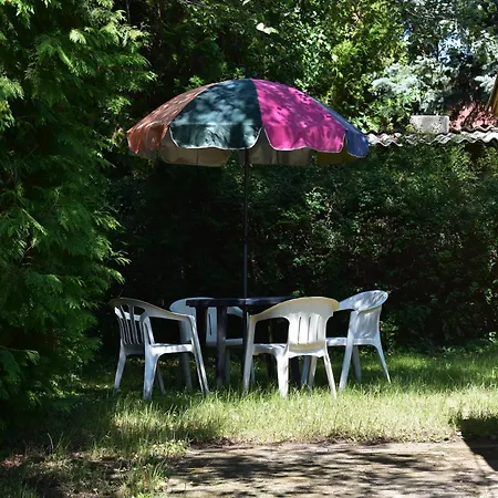 Cozy Family At The שיופוק