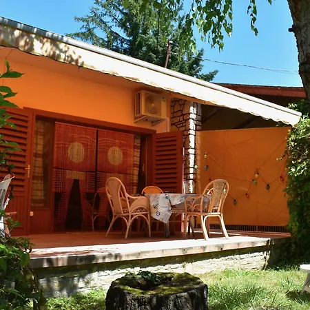 Cozy Family At The *