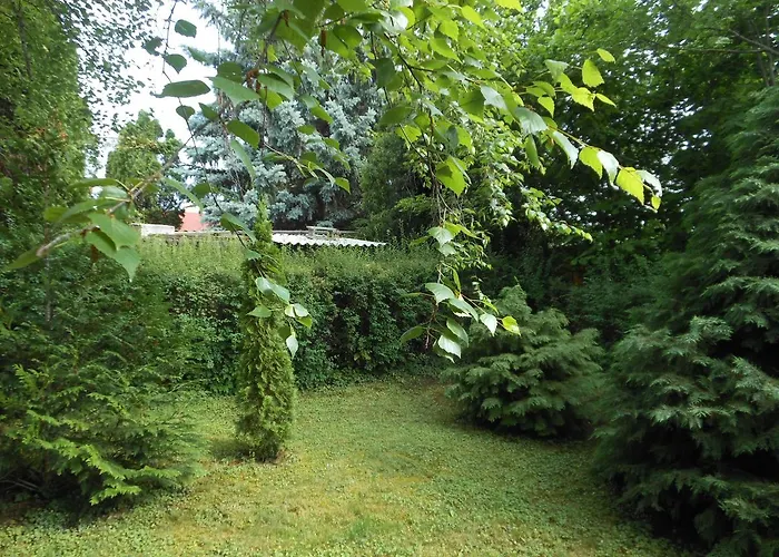 Cozy Family At The *