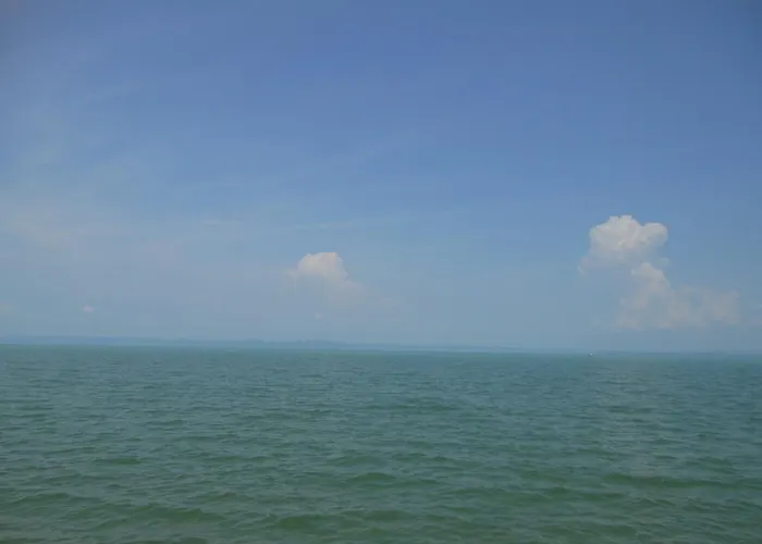 Cozy Family At The *