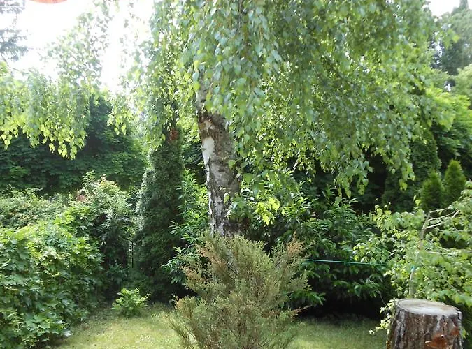 Holiday home Cozy Family At The Siofok